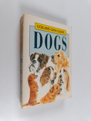 Wendy Boorer : Dogs