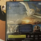 DVD legenda suojelijoista ga hoolen pöllöt - pikkukuva 2