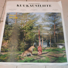 Helsingin Sanomat kuukausiliite kesäkuu 2026 - pikkukuva 1