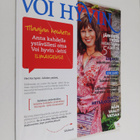 Voi hyvin 6/2011 - pikkukuva 1