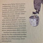 HOTAKAINEN - PÄRN: SATUKIRJA - pikkukuva 2