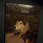SALUKI - Suomen suosituimmat koirarodut (Sis.postikulut) - pikkukuva 1