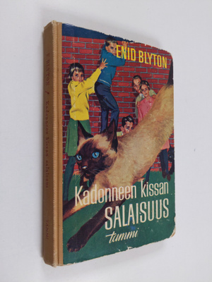 Enid Blyton : Kadonneen kissan salaisuus