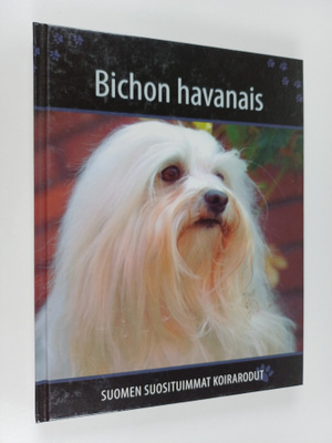 Bichon havanais