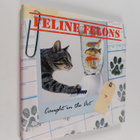 Ariel Books ym. : Feline Felons - Caught in the Act - pikkukuva 1