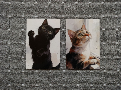 ~Kissa kortti~ 2kpl