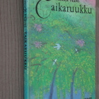 Hannele Huovi : Taikaruukku ( 1.p. 1984 k.po ) - pikkukuva 1