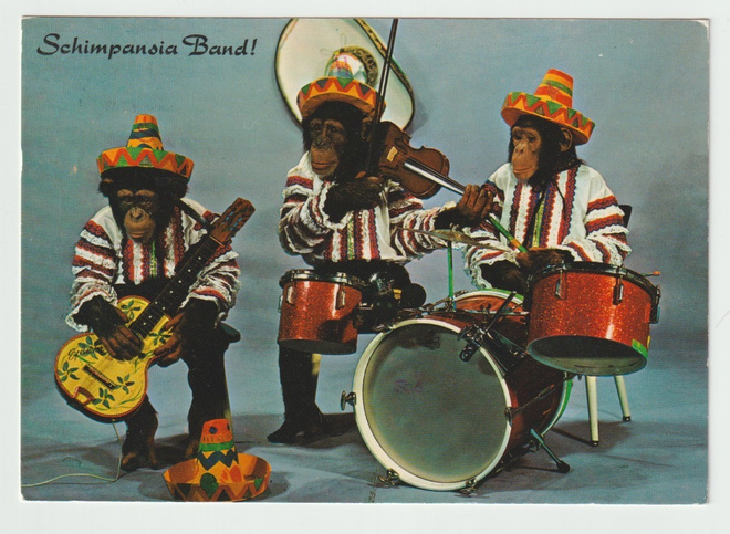 foto GROSS : Schimpansia  Band