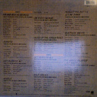 GRAM PARSONS/FLYING BURRITO BROS. :: THE BEST :: VINYYLI  LP - pikkukuva 2