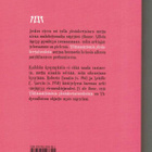 Ylittämättömiä yksinkertaisuuksia ( niin & näin) - pikkukuva 3