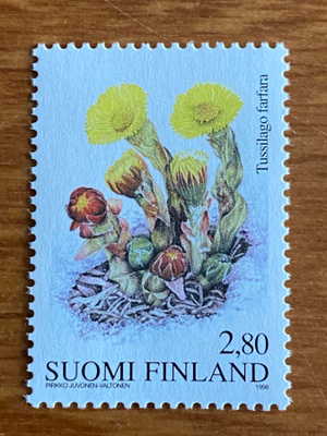 LUONTO HERÄÄ**