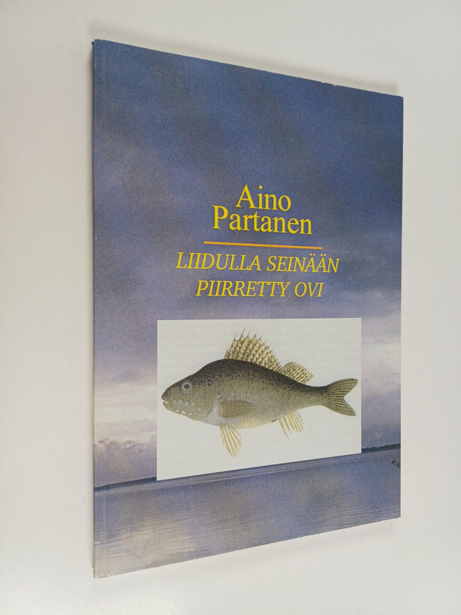 Aino Partanen : Liidulla seinään piirretty ovi