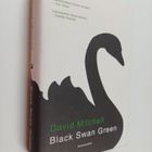 David Mitchell : Black Swan Green - pikkukuva 1