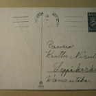 Tyttö, pajunkissoja ja mämmituokkonen, kulk. - pikkukuva 2