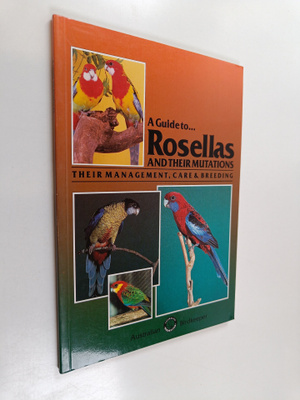 A Guide to Rosellas and Their Mutations
