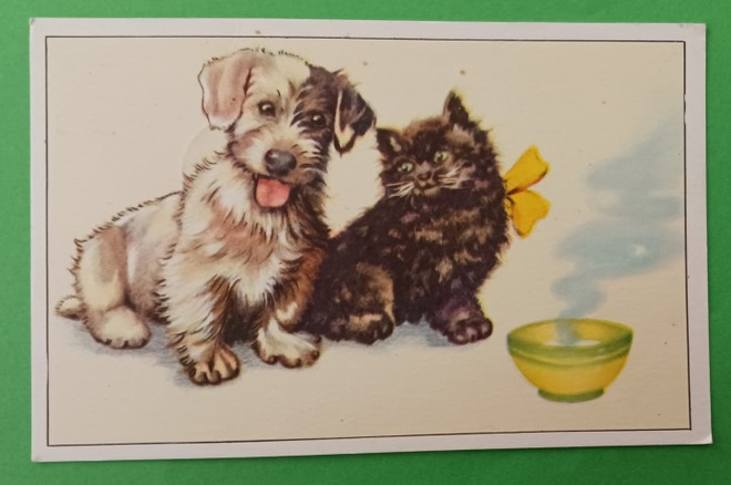 Koira ja kissa ruokakupilla, p. 1962