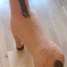 Iso Leluhevonen 70cm - pikkukuva 5
