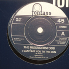 The Misunderstood 7" I Can Take You To The Sun - pikkukuva 1