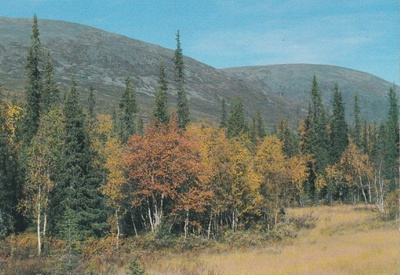 Pallastunturi