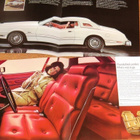 1974 Ford Thunderbird PRESTIGE esite - KUIN UUSI - 16 siv - pikkukuva 2