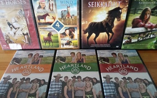 HEARTLAND 1. 2 - 4 - Majestic White horses - Wild horses - M