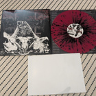 Anal Blasphemy - Western Decadence (IBP 298) - pikkukuva 2