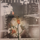 P(l)ain Truth (DVD) Ilppo Pohjola, R&A - pikkukuva 1