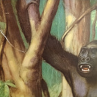 Gorilla opetustaulu. - pikkukuva 5