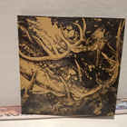 Third Eye Foundation:The Dark CD - pikkukuva 1