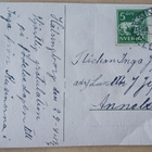 Pikkuleidi tuo jättikorin ruusuja ja kirjekortin, p. 1924 - pikkukuva 2