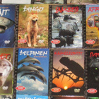 32 kpl: paketti eläin-dvd:t + kirjaset - pikkukuva 3
