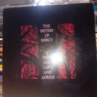 LP Sisters of Mercy : First and last and always ( SIS POSTIK - pikkukuva 1