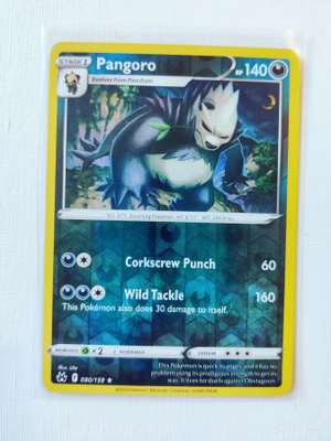 Pangoro Reverse Holo Rare