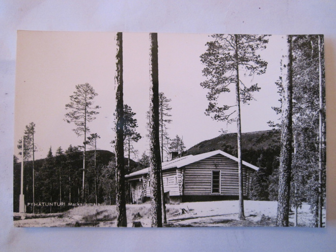 Postikortti Lappi Pyhätunturi 1950-luku Alkup.Mallikappale