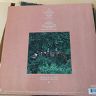 PAUL SIMON: The Rhythm of Saints * GER 1990 - pikkukuva 2