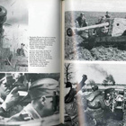 Herbert Walther: Die Waffen-SS (in english/deutsch) - pikkukuva 4
