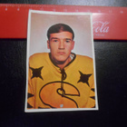 K15 Jenkki Jääkiekko-sarja # 95 Markku Eiskonen Saipa - pikkukuva 1