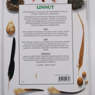 David Burnie : Linnut - pikkukuva 2