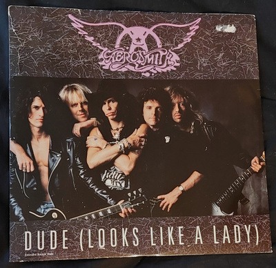 Aerosmith : 12" Dude (Looks like a lady)