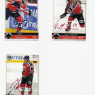 2008-09 Porin Ässät Team Set Nimmarit /25 - pikkukuva 4