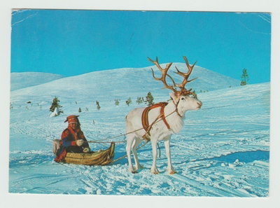 Värisuomi Oy : Saamelaismies poropulkassa
