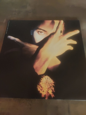 Terence Trent D'Arby