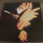 Terence Trent D'Arby - pikkukuva 1