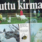 ME n:o 12 1973 Kuttu kirmaa. Pekka Saarnio. Seychellit. - pikkukuva 2