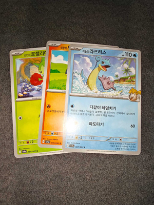 Pokémon Heat Wave Arena Korea 7