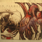 In Flames: Come Clarity CD+DVD. - pikkukuva 1