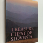 Matjaz Kmecl : Treasure Chest of Slovenia - pikkukuva 1