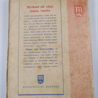 Outsider : Michael etsii menneisyyttään : rikosromaani - pikkukuva 2