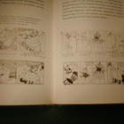 Kruskopf : Kuvataiteilija Tove Jansson (2.p.1992) Sis.postik - pikkukuva 5