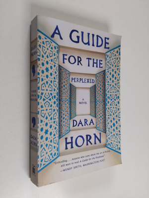 Dara Horn : A Guide for the Perplexed - A Novel